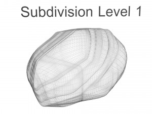 Walnut Shell 3D Model