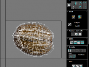 Walnut Shell 3D Model