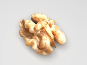 Walnut 3D Model
