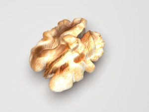 Walnut Modèle 3D