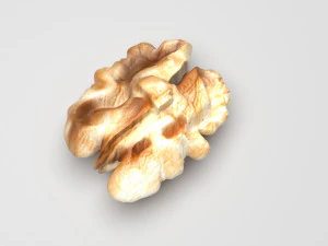 Walnut 3D Model