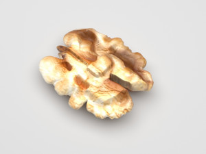 Walnut Modèle 3D
