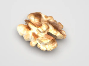 Walnut 3D Model