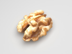 Walnut Modèle 3D