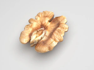 Walnut 3D Model
