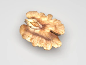 Walnut 3D Model