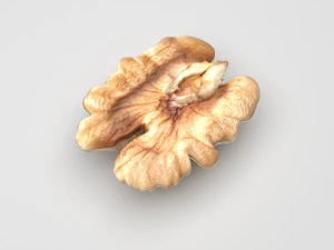 Walnut 3D Model