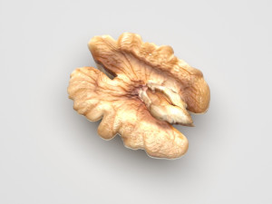 Walnut Modèle 3D
