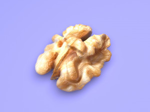 Walnut Modèle 3D