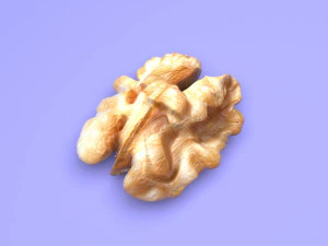 Walnut 3D Model