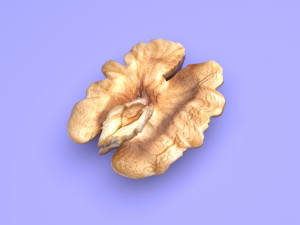 Walnut Modèle 3D
