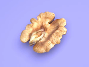 Walnut 3D Model
