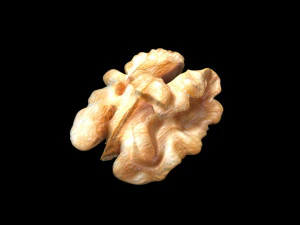 Walnut 3D Model