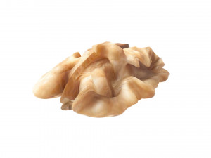 Walnut Modèle 3D