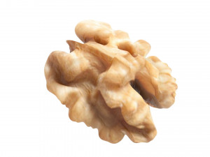 Walnut Modèle 3D