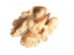 Walnut Modèle 3D