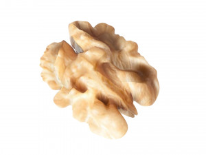 Walnut Modèle 3D