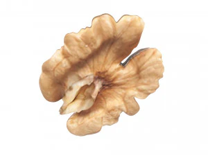 Walnut 3D Model