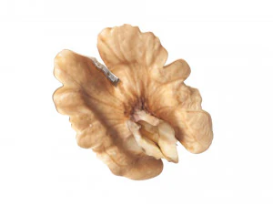 Walnut 3D Model