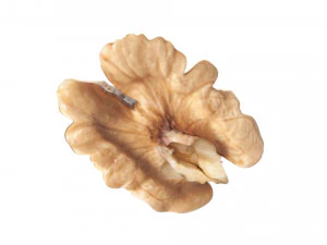 Walnut 3D Model