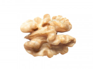 Walnut Modèle 3D