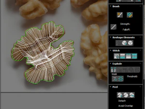 Walnut 3D Model