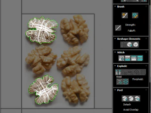 Walnut 3D Model