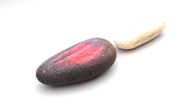 Cedar Nuts 3D Model .c4d .max .obj .3ds .fbx .stl .blend 