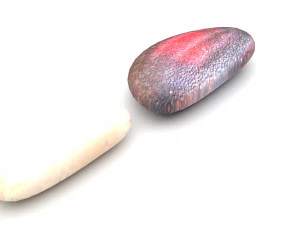 Cedar Nuts 3D Model