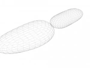 Cedar Nuts 3D Model