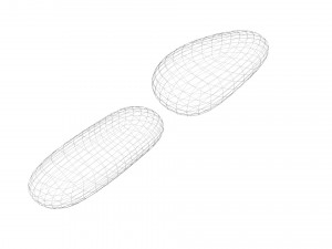 Cedar Nuts 3D Model
