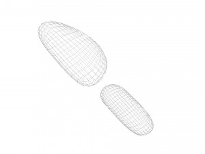 Cedar Nuts 3D Model