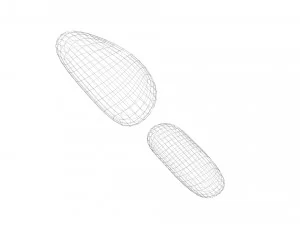 Cedar Nuts 3D Model