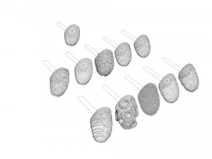 Banana Cake Pops Set 3D Model