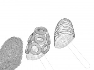 Banana Cake Pops Set Model 3D