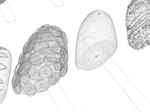 Banana Cake Pops Set Model 3D