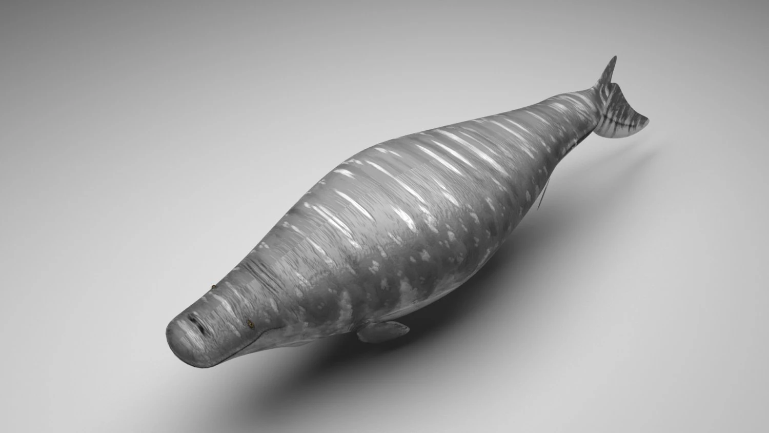 Mosasaurus 3D Model .c4d .max .obj .3ds .fbx .stl .blend 