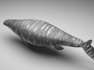 Mosasaurus Model 3D