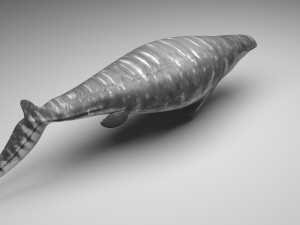 Mosasaurus Model 3D
