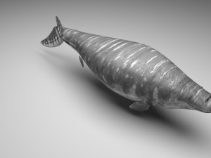 Mosasaurus Model 3D