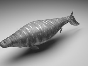 Mosasaurus Model 3D