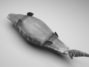 Mosasaurus Model 3D