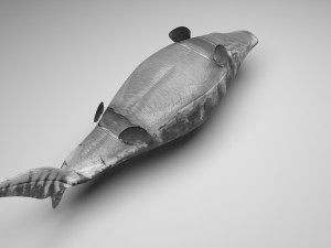 Mosasaurus Model 3D
