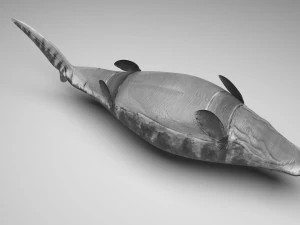 Mosasaurus 3D Model