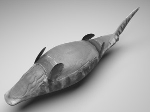 Mosasaurus Model 3D