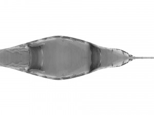Mosasaurus Model 3D