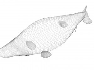 Mosasaurus Model 3D
