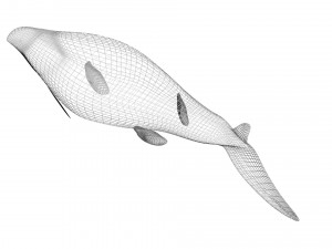 Mosasaurus Model 3D