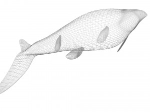 Mosasaurus Model 3D