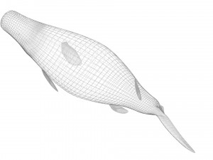 Mosasaurus Model 3D